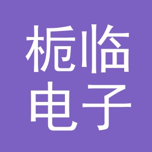 义乌市栀临电子商务有限公司