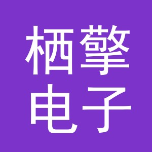 义乌市栖擎电子商务有限公司