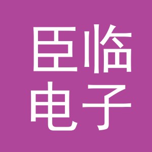 义乌市臣临电子商务有限公司