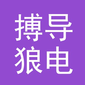 义乌市搏导狼电子商务有限公司