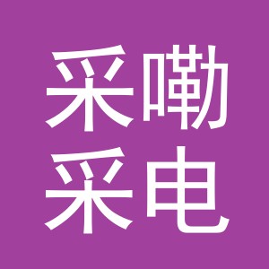 义乌市采嘞采电子商务有限公司