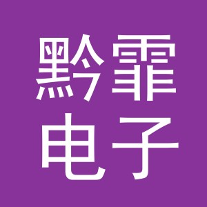 义乌市黔霏电子商务有限公司