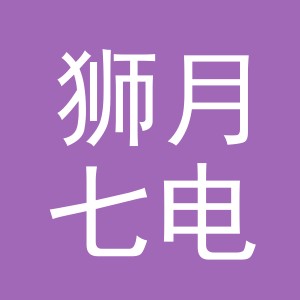 义乌市狮月七电子商务有限公司