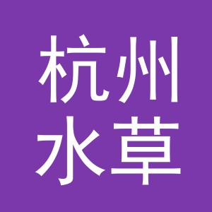 杭州水草传媒