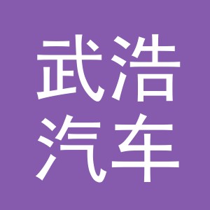 义乌市武浩汽车维修服务部logo