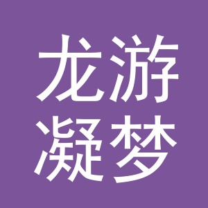 龙游凝梦依饰品有限公司logo