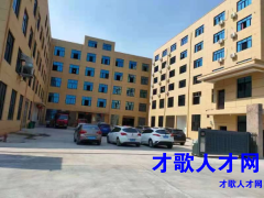 浦江急招：裁剪师傅.拉布.四针六线.上腰.脚口.烫标，无淡季！图片1