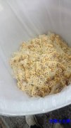 硅胶操作工