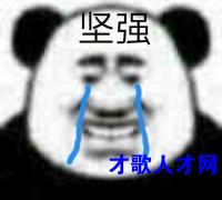 找工作，刚毕业，想学点东西