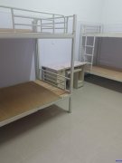 义亭海派包装招：采购助理 外贸业务员 包吃包住