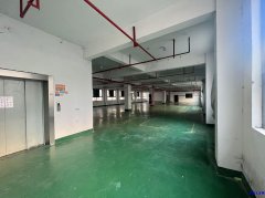 东阳 2楼700平 5楼700平</strong>