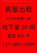 义乌江东街道 大元村别墅6栋 地下室20间 830平出租</strong>