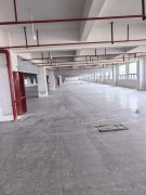 全新厂房出租 700-4500平方 可分租