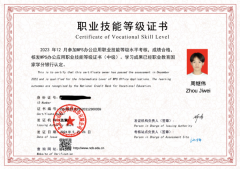 大专生刚出校 会做ppt word文档 Excel表格