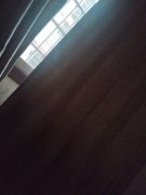 找工作，植毛工