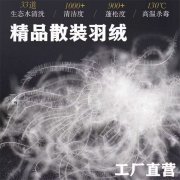 专业冲羽绒加工 冲羽绒打样