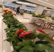 操作工25元/时  30天7875元/月